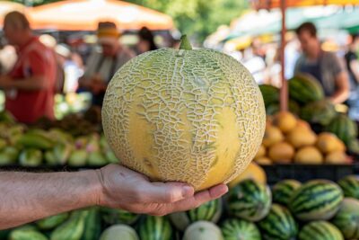 L’astuce infaillible méconnus d’expert pour dénicher le meilleur melon sur le marché