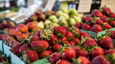 Découvrez comment choisir vos fraises pour une consommation responsable et savoureuse