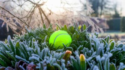 Pourquoi une balle de tennis peut être votre meilleur allié pour le jardin en hiver